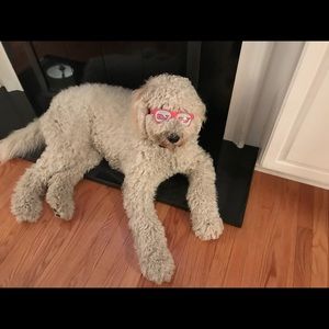 Meet your Posher, Kathleen